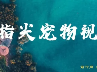 指尖宠物视频AI制作教程，萌宠治愈系短视频变现新玩法