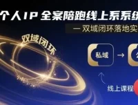 个人IP全案陪跑线上系统课-双域闭环落地实操课