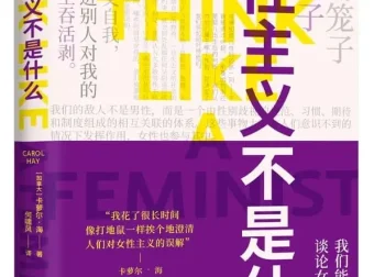 女性主义不是什么：卡萝尔·海新书解读性别歧视的隐形牢笼 [PDF]
