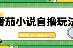 番茄小说自撸玩法，低播放量也能稳定日入1000+实操教程