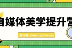 自媒体美学提升营：从品牌审美到爆款封面，手把手打造高调性博主（11节完整课程）