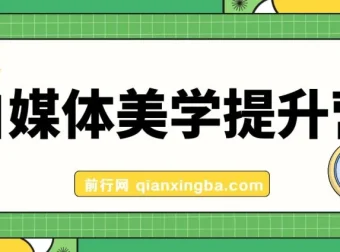 自媒体美学提升营：从品牌审美到爆款封面，手把手打造高调性博主（11节完整课程）