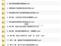 亲子关系与人格培育视频课程：从新手父母到青春期教育的系统指南