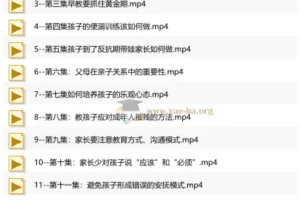 亲子关系与人格培育视频课程：从新手父母到青春期教育的系统指南