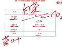 2025国考常识速成攻略：7节精讲课程+配套讲义，高效锁定核心考点
