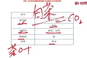 2025国考常识速成攻略：7节精讲课程+配套讲义，高效锁定核心考点