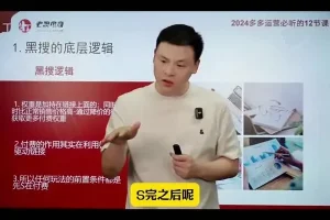 2024拼多多爆款店铺速成：12节课30天销量飙升