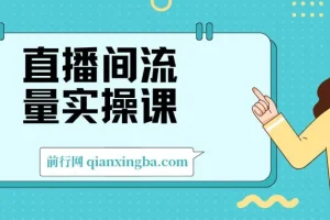 直播间流量实操课：机制拆解+算法洞察+引流策略，系统掌握流量运营核心逻辑