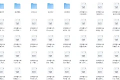 2025热门小说大合集 各类题材一网打尽 TXT电子书
