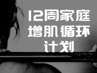 卓叔增重：12周家庭增肌循环计划，系统课程助你高效突破