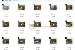 走遍美国学口语中文讲解版+原版中英字幕（中级-高中）视频音频笔记全套