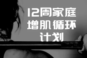 卓叔增重：12周家庭增肌循环计划，系统课程助你高效突破