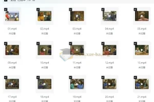 走遍美国学口语中文讲解版+原版中英字幕（中级-高中）视频音频笔记全套