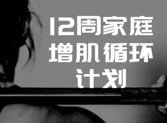 卓叔增重：12周家庭增肌循环计划，系统课程助你高效突破