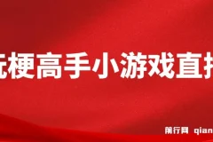 假期风口！玩梗高手小游戏直播教程，无需露脸，每天2小时，小白也能轻松上手