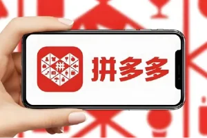 PDD打爆班原创高阶技术第43期：拼多多高价虚拟项目全流程实操课程