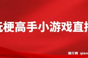 假期风口！玩梗高手小游戏直播教程，无需露脸，每天2小时，小白也能轻松上手