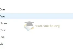 IELTS技能训练教程（第5版）听力 黑眼睛第五版 李亚宾 PDF+音频