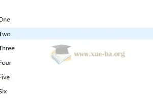 IELTS技能训练教程（第5版）听力 黑眼睛第五版 李亚宾 PDF+音频