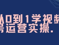 秋叶视频号运营实战课：从0到1系统掌握爆款打造与变现技巧