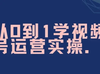 秋叶视频号运营实战课：从0到1系统掌握爆款打造与变现技巧