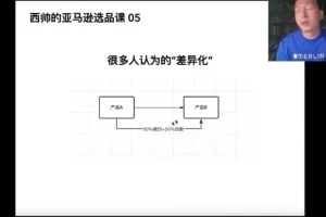 亚马逊选品实战课：西帅亲授低成本高转化选品方法论