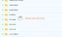 杜春雨 2021春 初二物理直播菁英班14讲带讲义