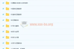 杜春雨 2021春 初二物理直播菁英班14讲带讲义