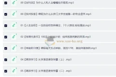 张萌 时间管理50课 （50节，音频）