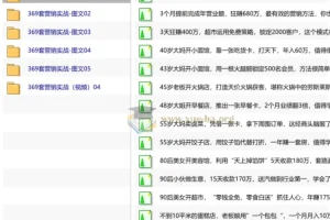 真实有效391套商业模式，年入几十到几百万案例解析（电子书+视频+图文）