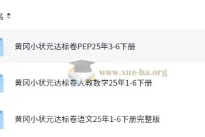 2025春小学黄冈小状元达标卷·人教版 (语数英)