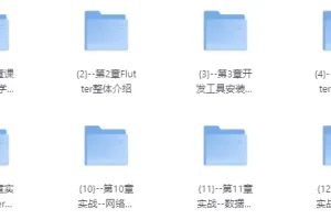 【基于Flutter3.x实战跨平台短视频App混合开发【完结】】