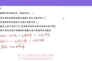 2024高三生物张元振全年班：遗传/细胞/生态专题精讲